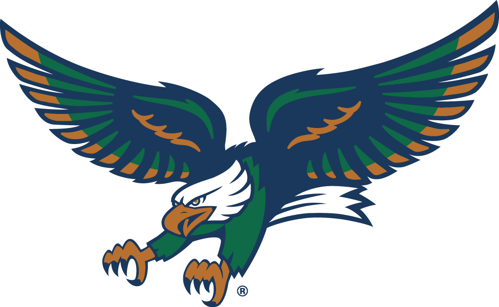 North Texas Mean Green 1995-2004 Alternate Logo diy iron on heat transfer